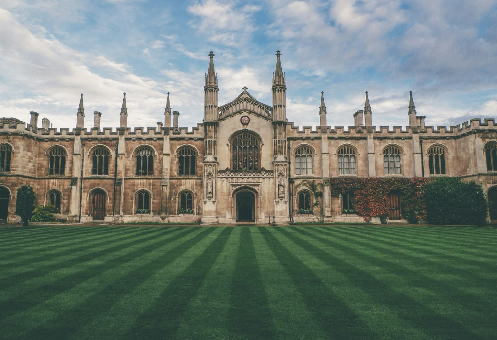 University students learning online